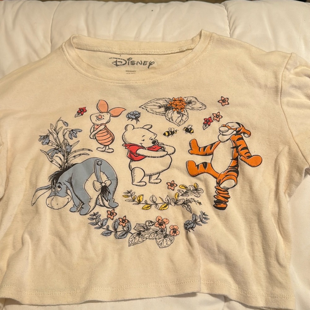 Whinnie the pooh crop top